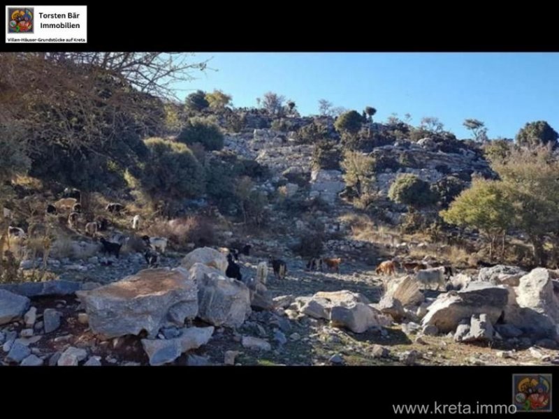 Myrtos Kreta, Dorf Myrtos, 5 Luxusappartments mit Restaurant und Meerblick Haus kaufen